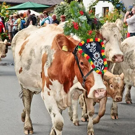 Apartman Designer-chalets