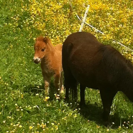 Designer-chalets Apartman *